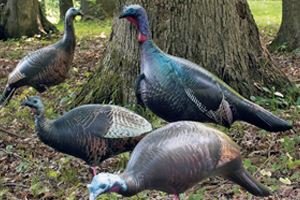 Inflatable Turkey Decoy