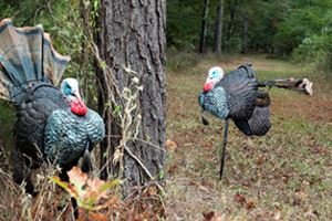 Motion Turkey Decoy