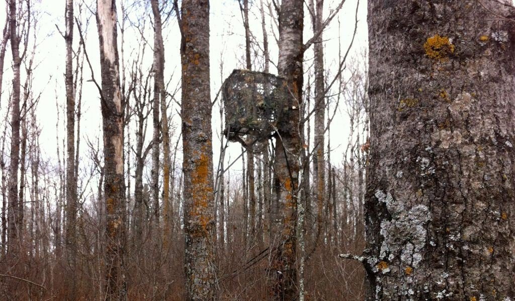 tree stand tips