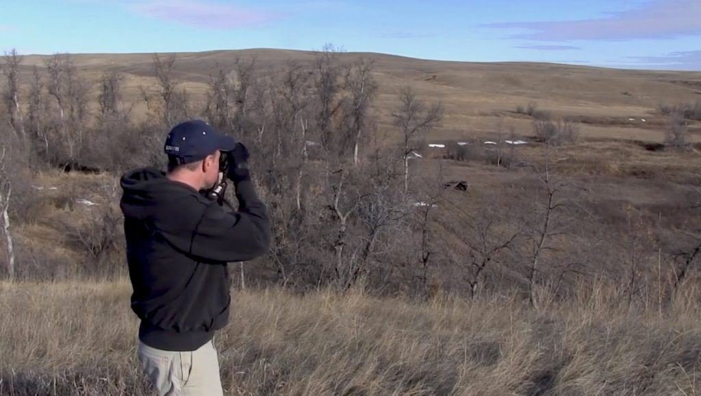 turkey scouting tips