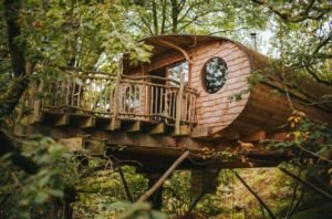 Glamping Luxury Tree Houses