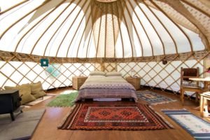 Glamping Yurts